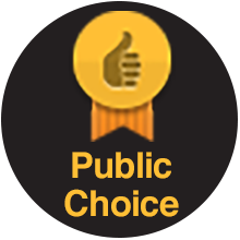 Public Choice award